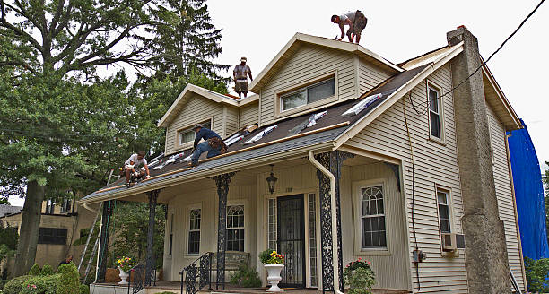 Best Local Roofing Companies  in Salamatof, AK