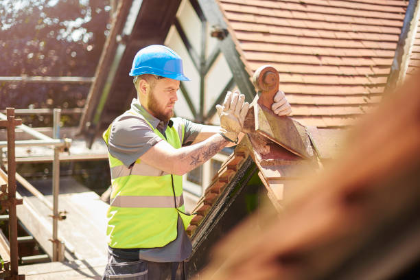 Best New Roof Installation  in Salamatof, AK
