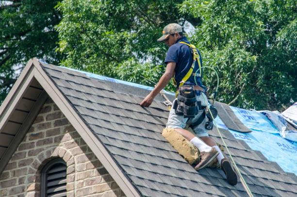 Best Roof Waterproofing Services  in Salamatof, AK